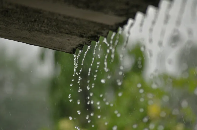 Eau de pluie qui s'écoule en filets du bord d'un toit, devant un feuillage flou