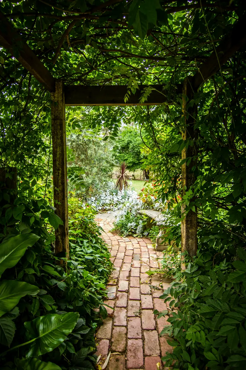 Allée de briques sinueuse sous une pergola couverte de vigne, menant à un banc de pierre entouré de plantes argentées